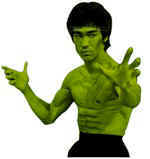www.brucelee.com